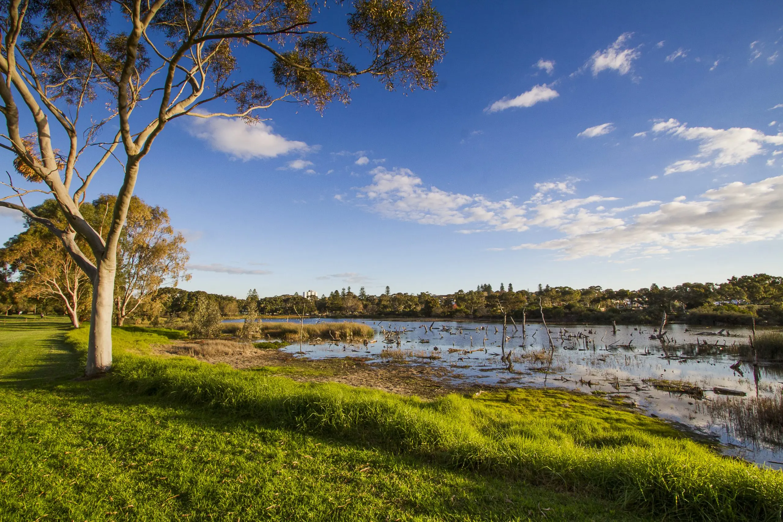 27a Mengler Avenue Claremont Wa 6010 - Image 23